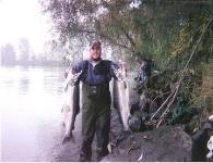 Humptulips River King Salmon
